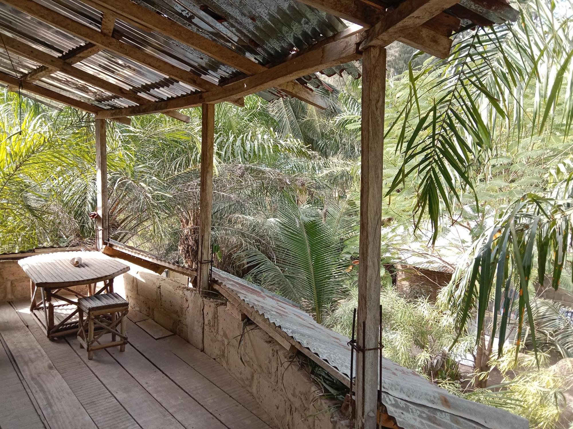 Abémé Chez Bethy & Baboulaye Jungle Et Oceanヴィラ エクステリア 写真