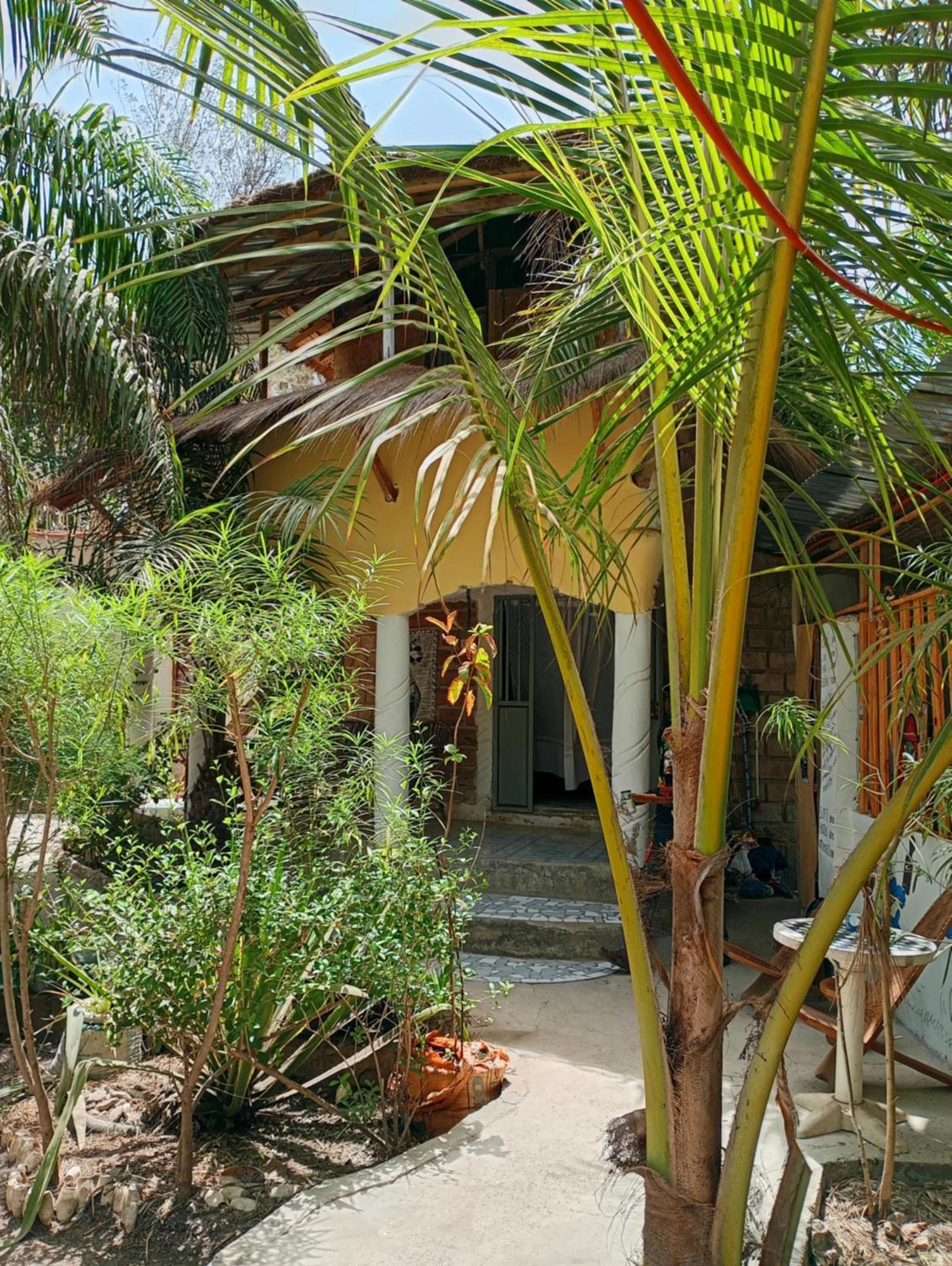 Abémé Chez Bethy & Baboulaye Jungle Et Oceanヴィラ エクステリア 写真