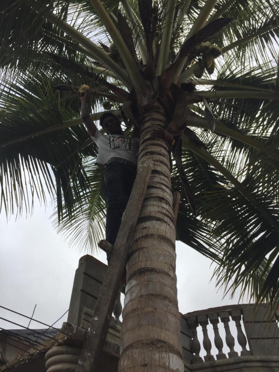 Abémé Chez Bethy & Baboulaye Jungle Et Oceanヴィラ エクステリア 写真